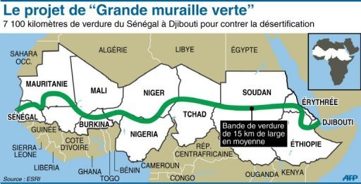 Le projet de Grande Muraille Verte reliera Dakar à Djibou sur 7000 KM. Crédit photo AFP